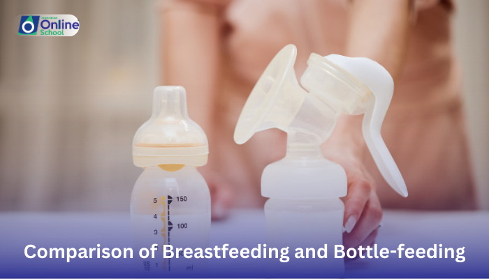 Lesson 19: Comparison of Breastfeeding and Bottle-feeding